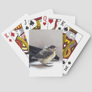 Tidi my Bird the Parus Major Playing Cards