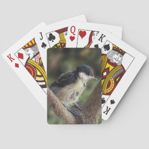 Tidi my Bird the Parus Major Playing Cards