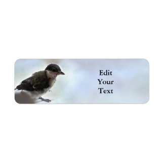 Tidi my Bird the Parus Major Return Address Label