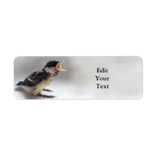 Tidi my Bird the Parus Major Return Address Label
