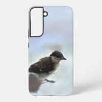 Tidi my Bird the Parus Major