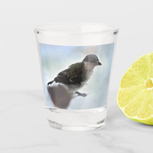 Tidi my Bird the Parus Major Shot Glass