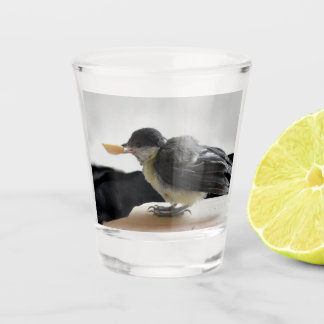 Tidi my Bird the Parus Major Shot Glass