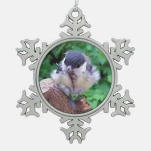 Tidi my Bird the Parus Major Snowflake Pewter Christmas Ornament