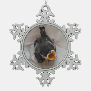 Tidi my Bird the Parus Major Snowflake Pewter Christmas Ornament