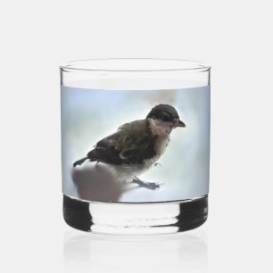Tidi my Bird the Parus Major Whiskey Glass