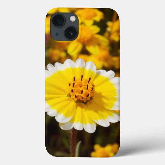 Tidy Tip Wildflowers Case-Mate iPhone Case (Back)
