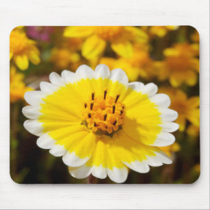 Tidy Tip Wildflowers Mouse Pad