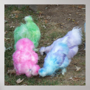 Tie Dyed Silkie Chickens in Pastel Easter Colours Poster