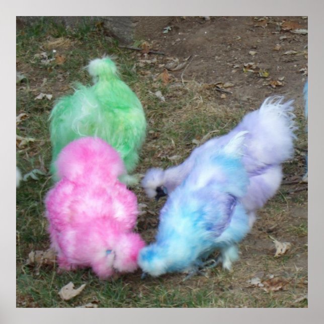 Tie Dyed Silkie Chickens in Pastel Easter Colours Poster (Front)