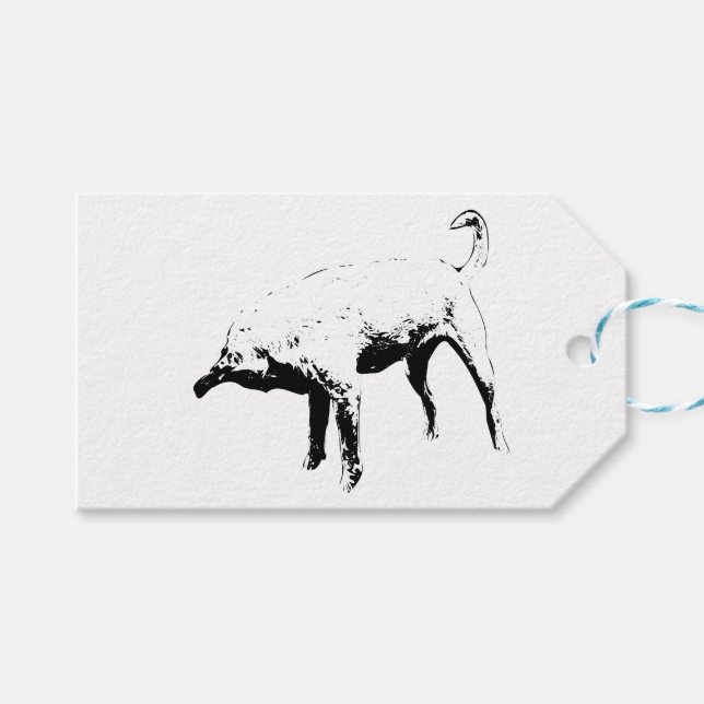 Tie‑On Curious Spark Gift Tags (Front (Horizontal))