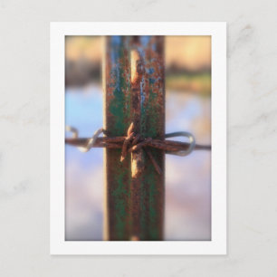 Tied Green and Rust Postcard