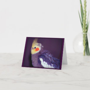 Tiel Customisable Cards