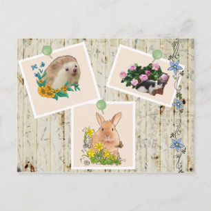 Tiere im Busch Postcard