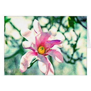 Tiffany Magnolia