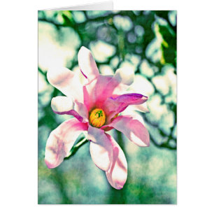 Tiffany Magnolia