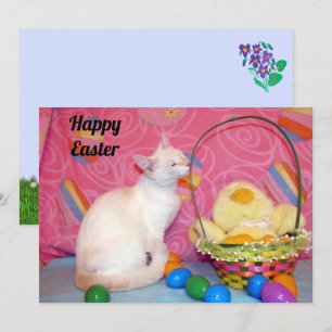 Tiffany's Easter Basket = Cat - Flat Card