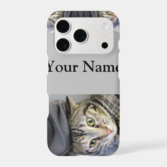 Tiger (Back)