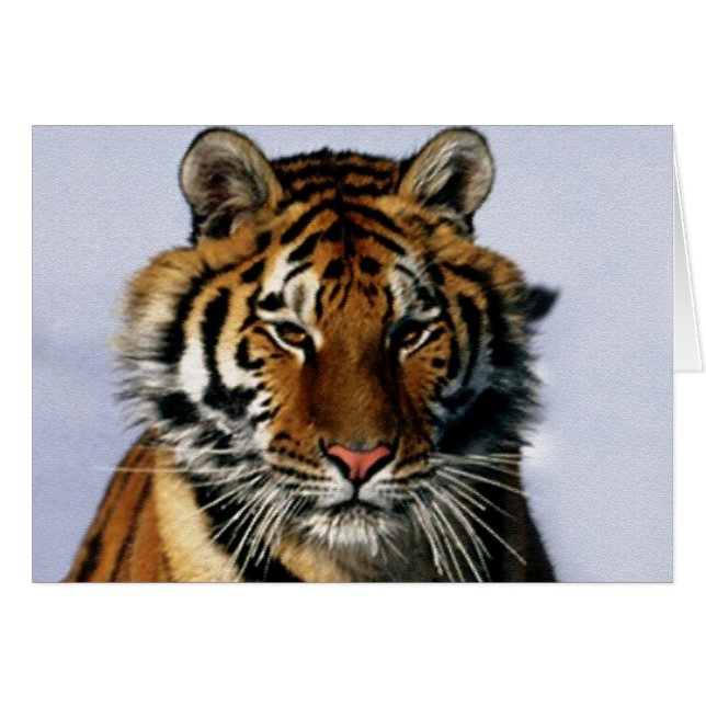 tiger (Front Horizontal)