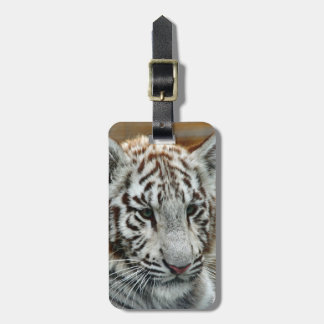 Tiger20151001 Luggage Tag