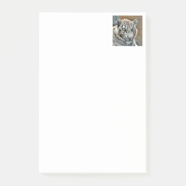 Tiger20151001 Post-it Notes (Front)