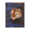 Tiger2