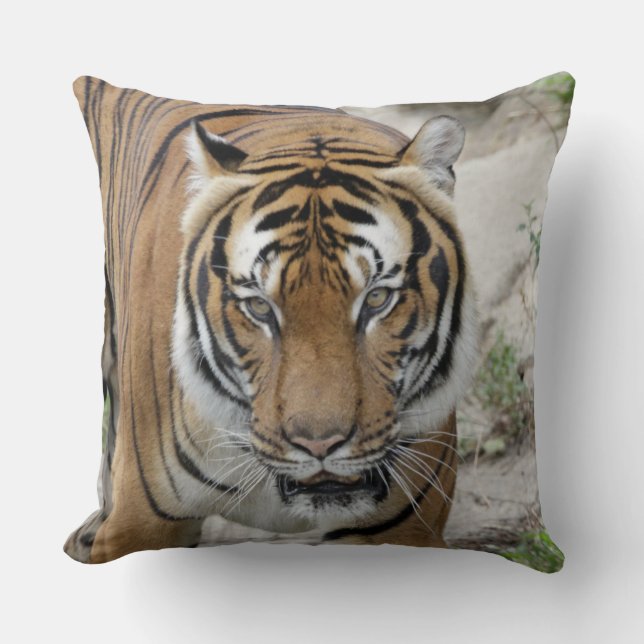 Tiger_001 Cushion (Front)