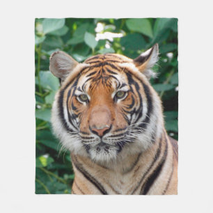 Tiger 001 fleece blanket