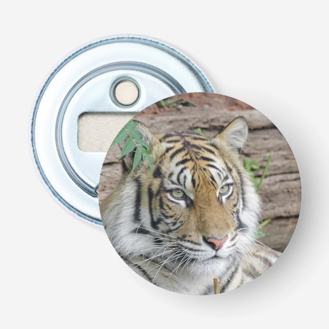 Tiger_002 Bottle Opener (Front)