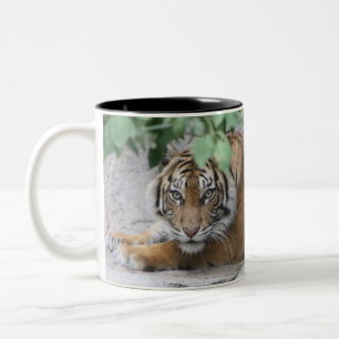Tiger 008 Two-Tone coffee mug