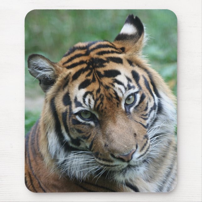 Tiger 012 mouse pad (Front)