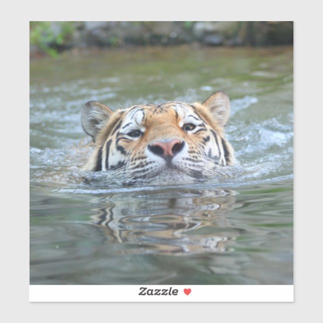 Tiger 028 (Sheet)
