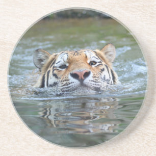 Tiger 028 coaster