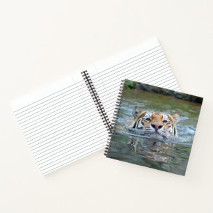 Tiger 028 notebook