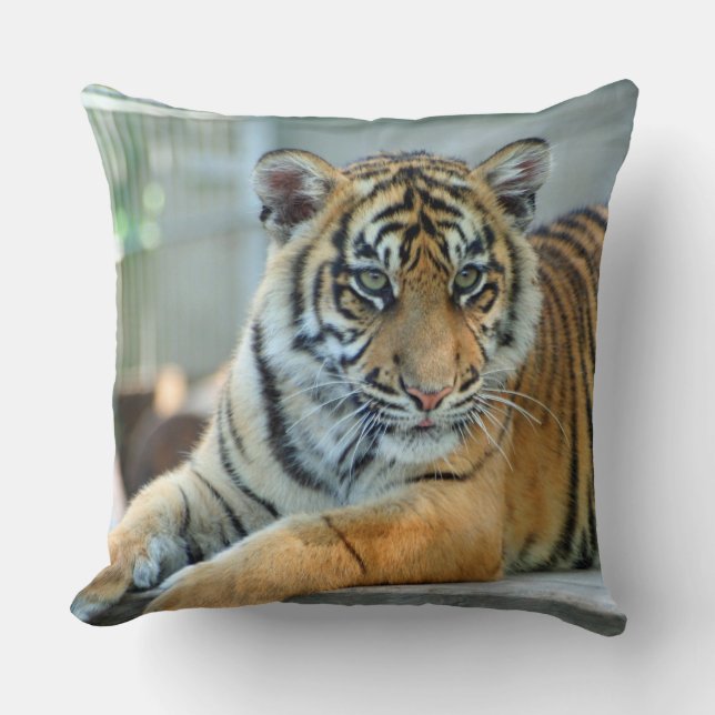 Tiger 034 cushion (Front)