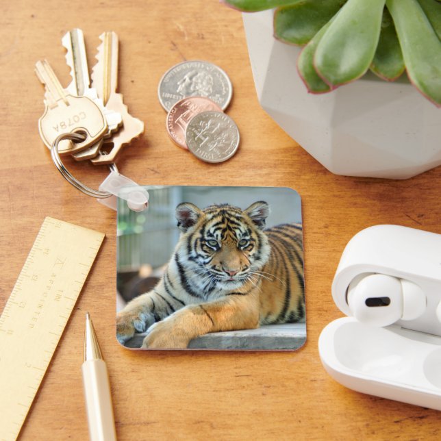 Tiger 034 key ring (Desk)