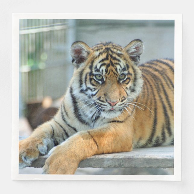 Tiger 034 napkin (Front)