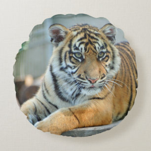 Tiger 034 round cushion
