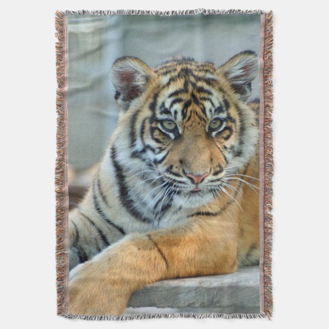 Tiger 034 throw blanket (Front Vertical)