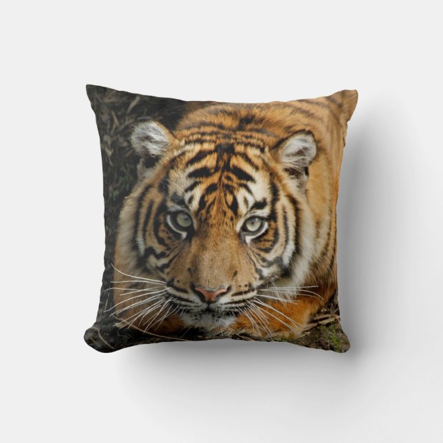 Tiger 037 cushion (Front)