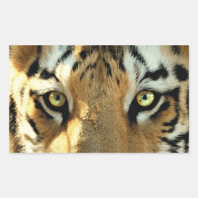 Tiger 1 - Sticker (Front)