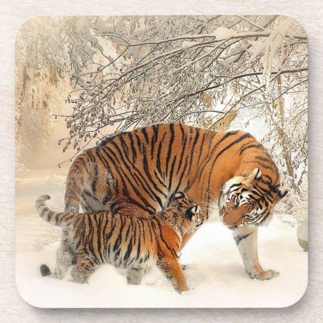 Tiger_2015_0125 Coaster (Front)