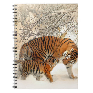 Tiger_2015_0125 Notebook