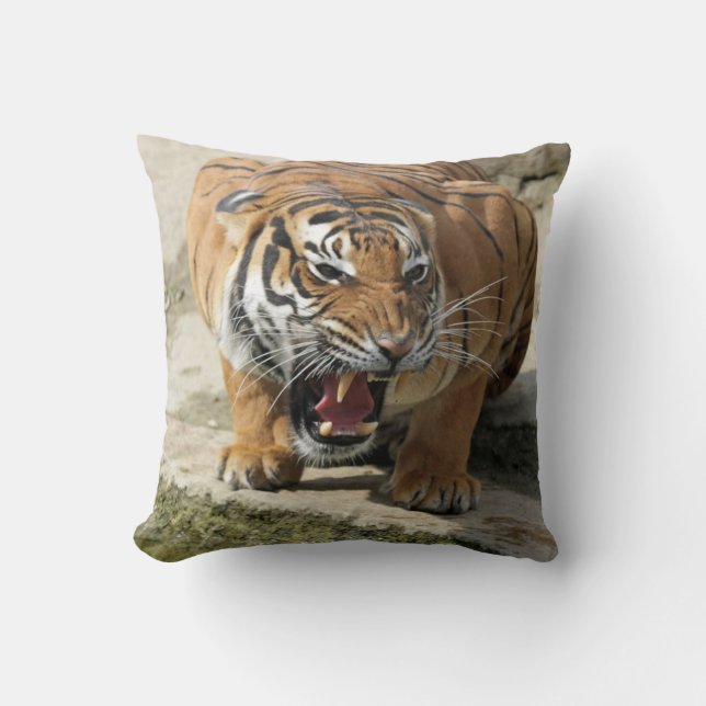 Tiger_2015_0156 Cushion (Front)
