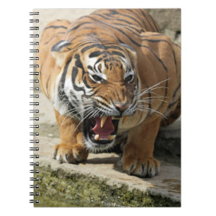 Tiger_2015_0156 Notebook