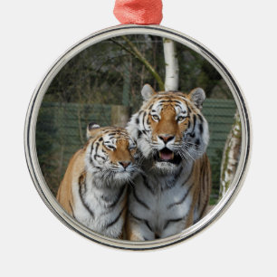 Tiger_2015_0401 Metal Ornament