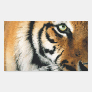 Tiger 2 - Sticker