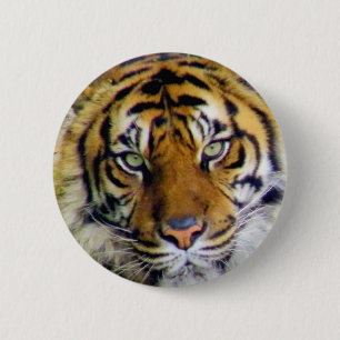 Tiger_ 6 Cm Round Badge