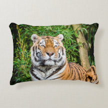 Tiger Accent Pillow