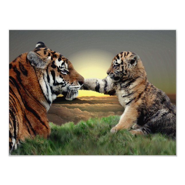 Tiger and Cub Digital Edition Print (Front)